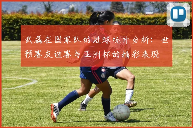 武磊在国家队的进球统计分析：世预赛友谊赛与亚洲杯的精彩表现